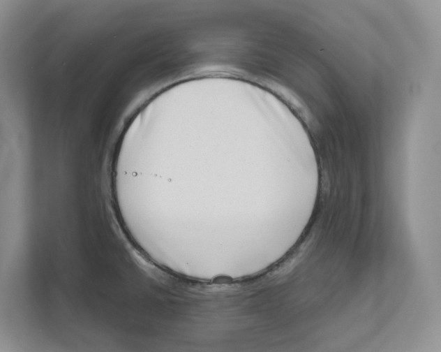 X0000111181430200907291134