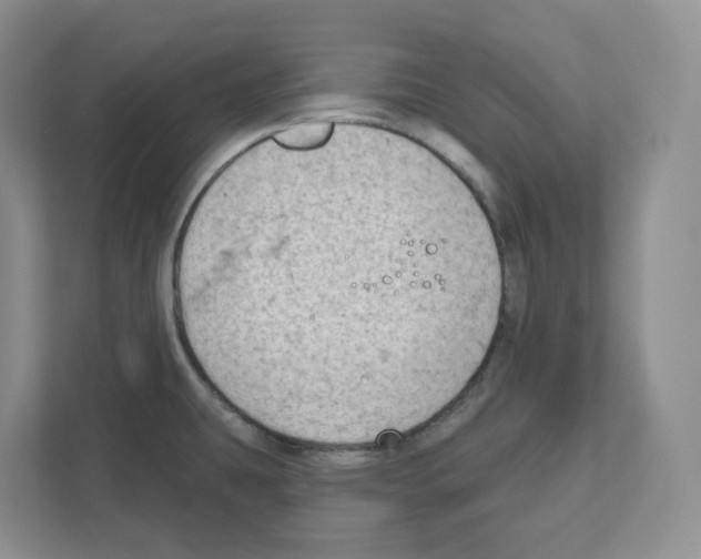 X0000111181431200907291134