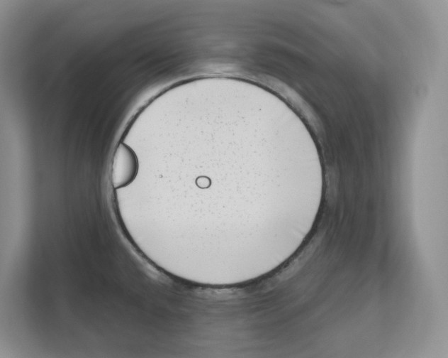 X0000111181432200907291134