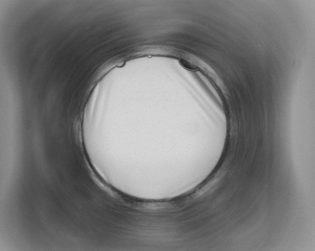 X0000111181433200907291134