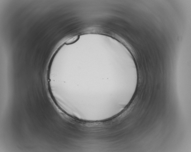 X0000111181434200907291134