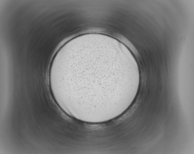 X0000111181436200907291134