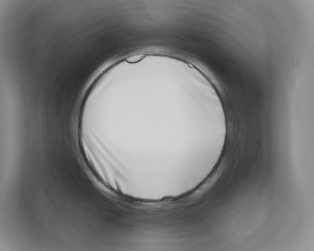 X0000111181438200907291134