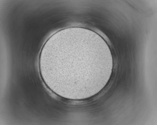 X0000111181439200907291134