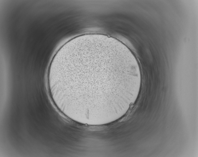 X0000111181440200907291134