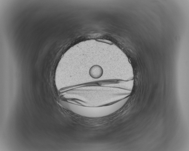 X0000111181441200907291134