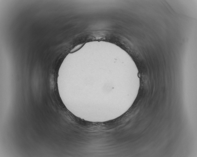 X0000111181442200907291134