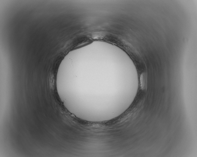 X0000111181443200907291134