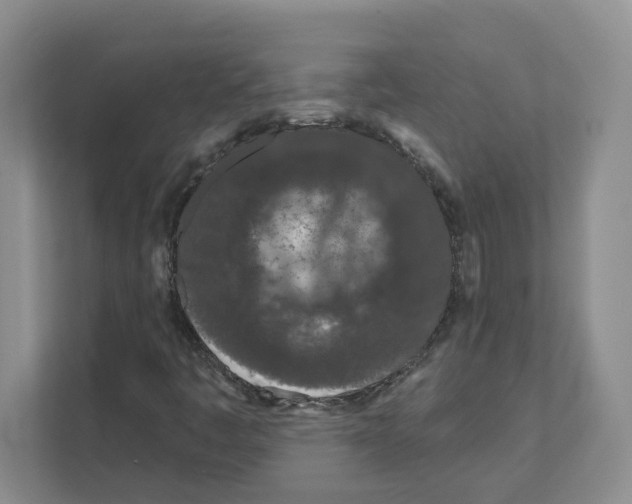 X0000111181445200907291134