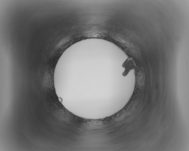 X0000111181446200907291134