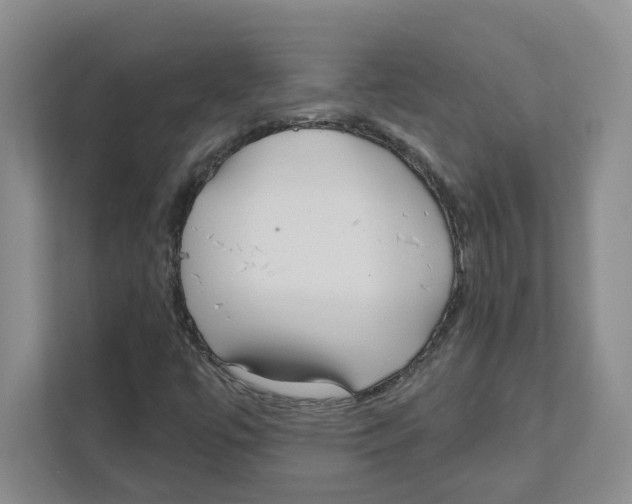 X0000111181447200907291134