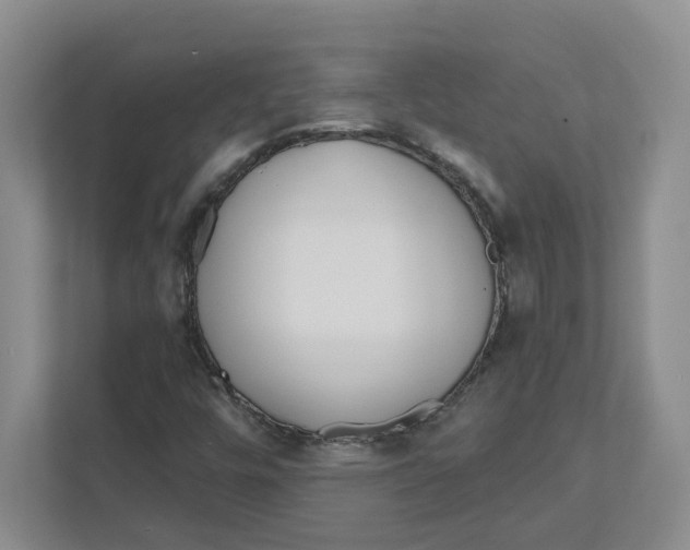 X0000111181448200907291134