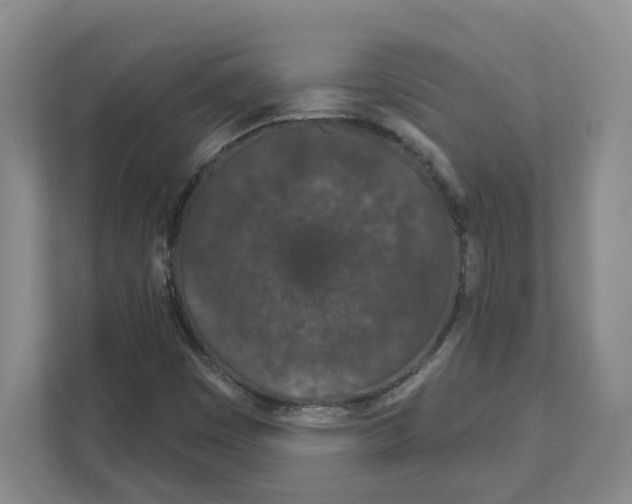 X0000111181449200907291134