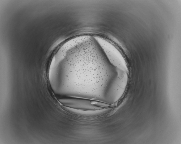 X0000111181453200907291134