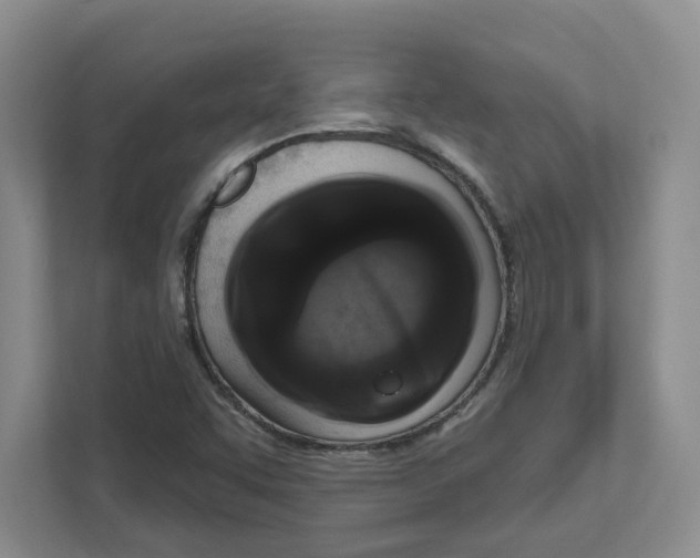 X0000111181455200907291134