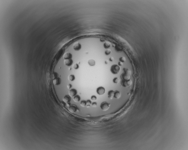 X0000111181457200907291134