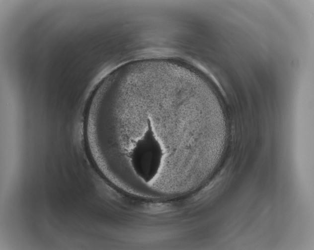 X0000111181459200907291133