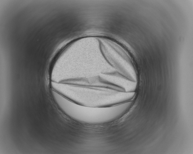 X0000111181461200907291133