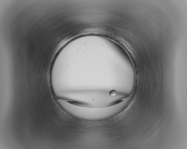 X0000111181465200907291133