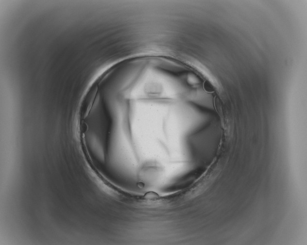 X0000111181468200907291133