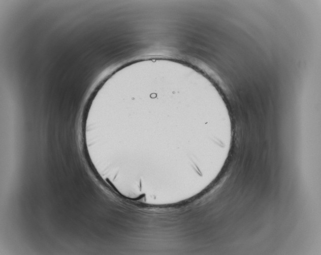 X0000111181469200907291133