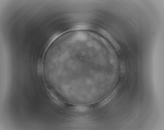 X0000111181473200907291133