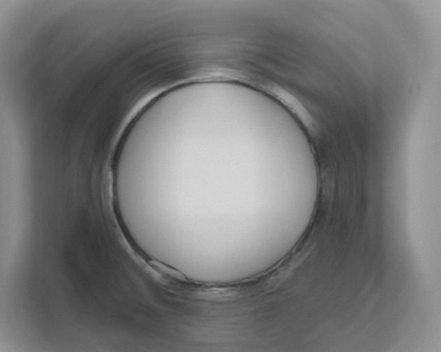 X0000111181476200907291133