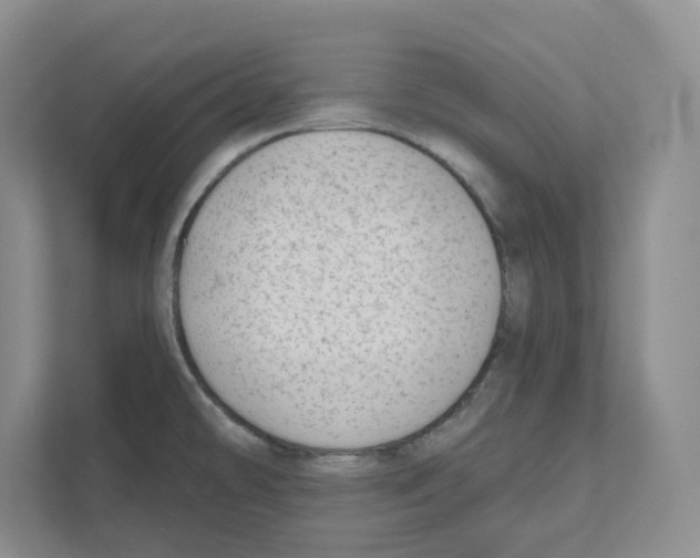 X0000111181478200907291133