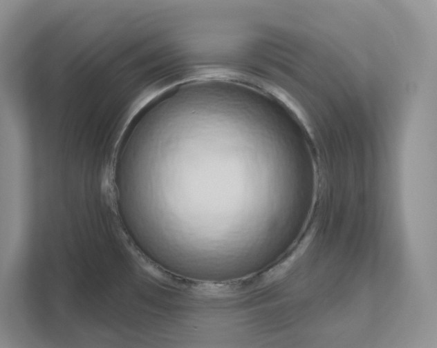 X0000111181481200907291133