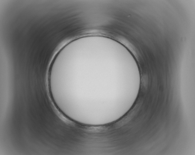 X0000111181482200907291133