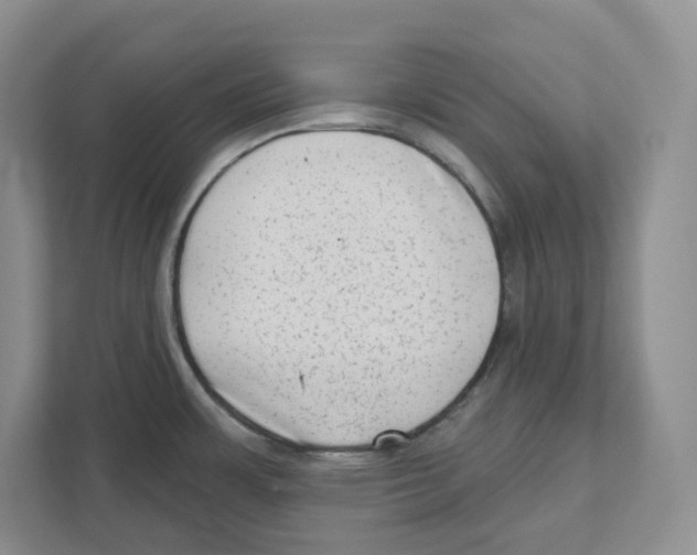 X0000111181483200907291133