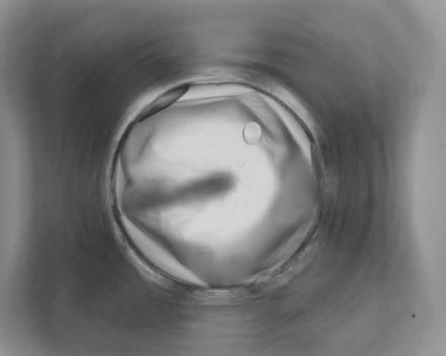 X0000111181485200907291133