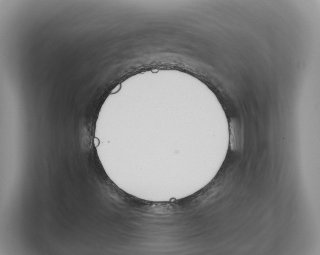 X0000111181491200907291133