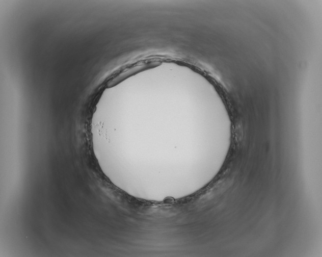 X0000111181496200907291133