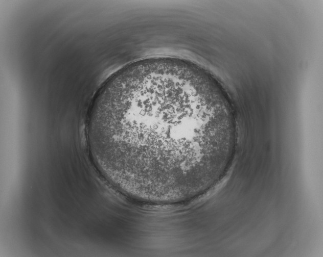 X0000111181497200907291133