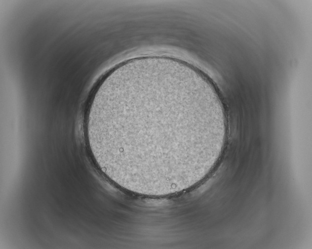 X0000111181498200907291133