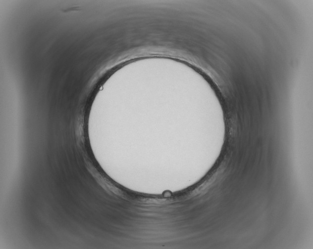 X0000111181499200907291133