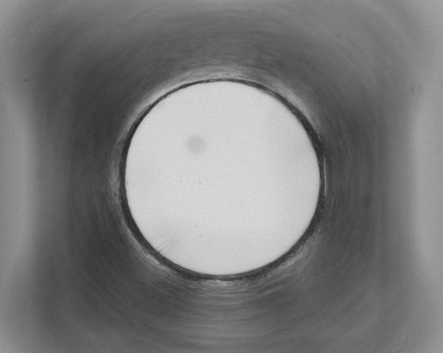 X0000111181500200907291133