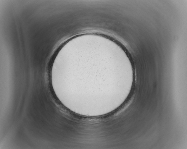 X0000111181501200907291133