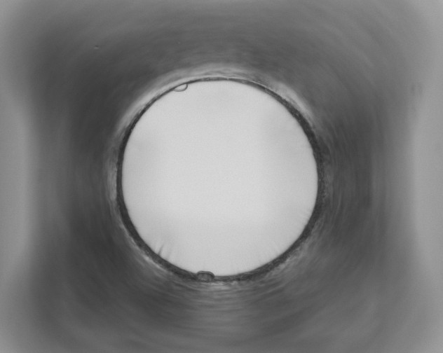 X0000111181504200907291133