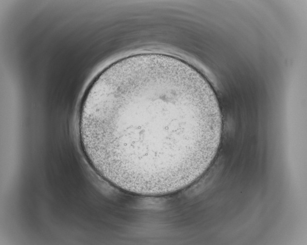 X0000111181514200907291133