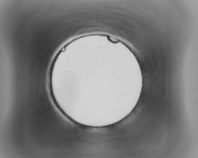 X0000111181518200907291133