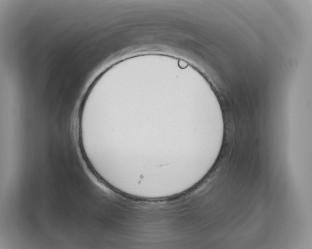 X0000111181519200907291133