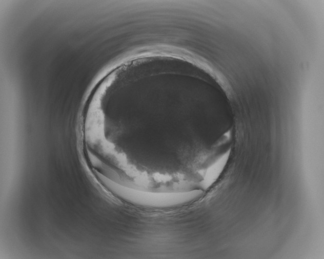 X0000111181522200907291133