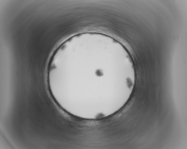 X0000111181525200907291133