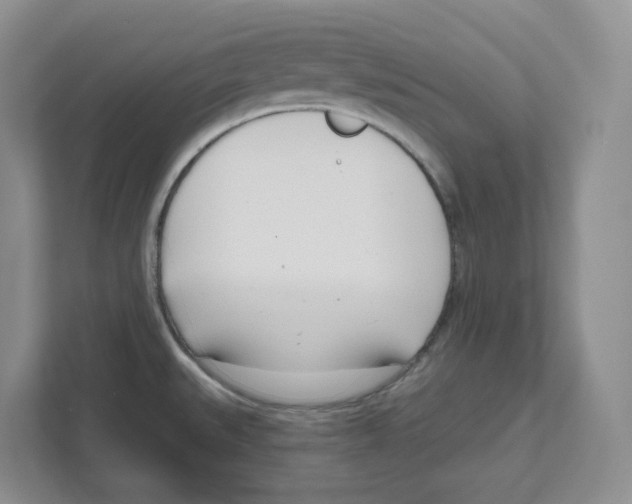 X0000111181527200907291133