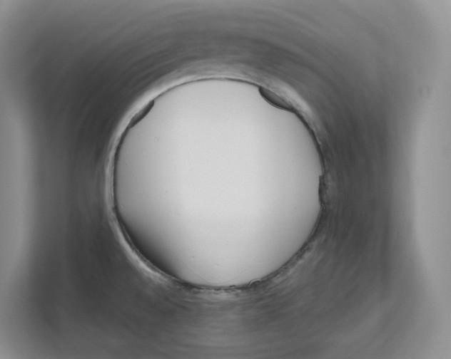 X0000111181528200907291133