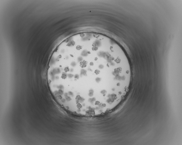 X0000111181529200907291133