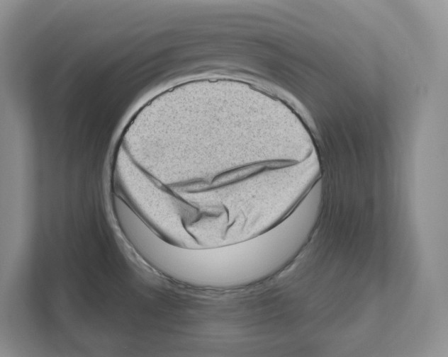 X0000111181530200907291133