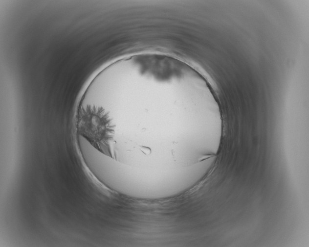 X0000111181532200907291133